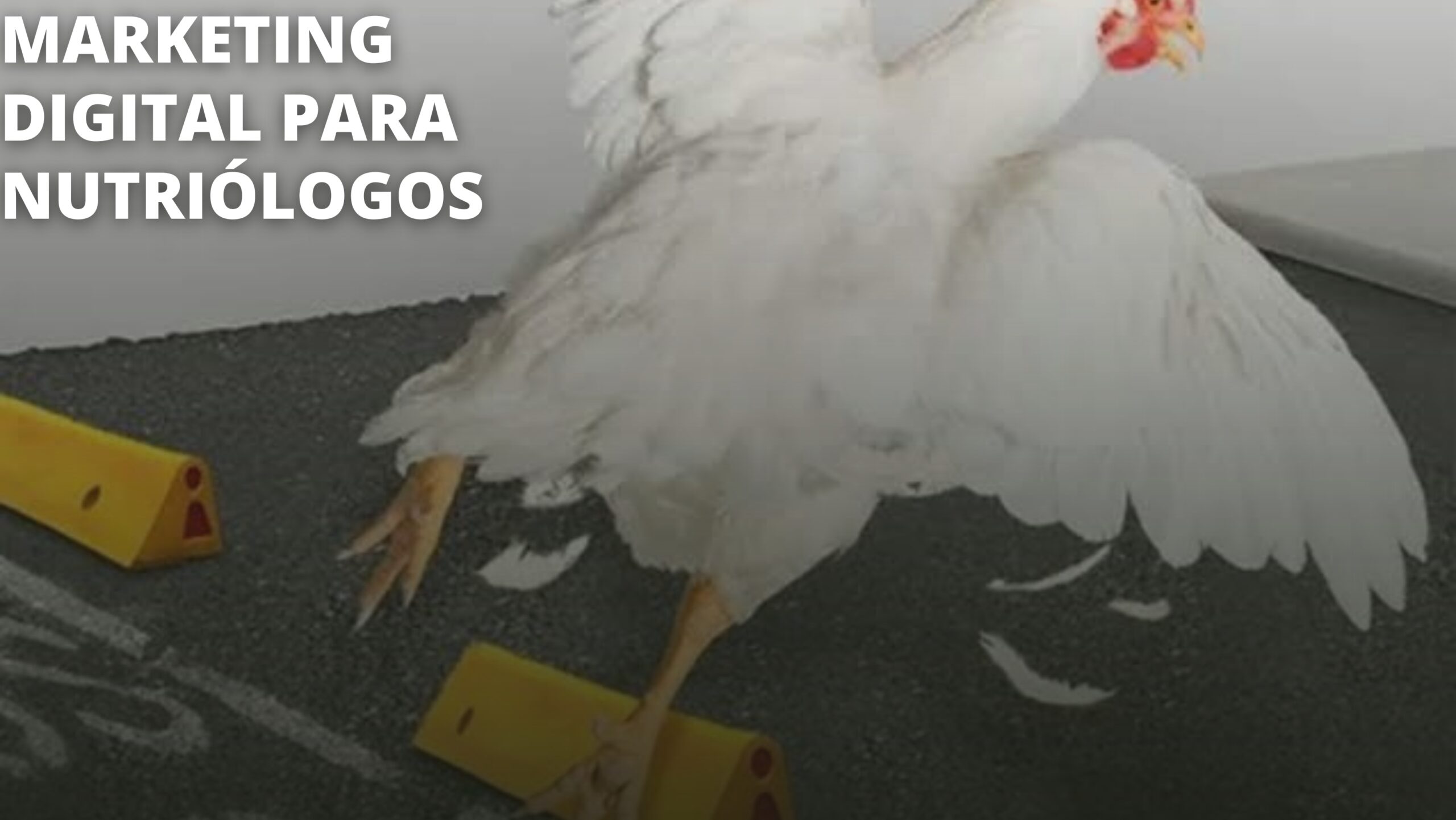 Marketing digital para nutriólogos